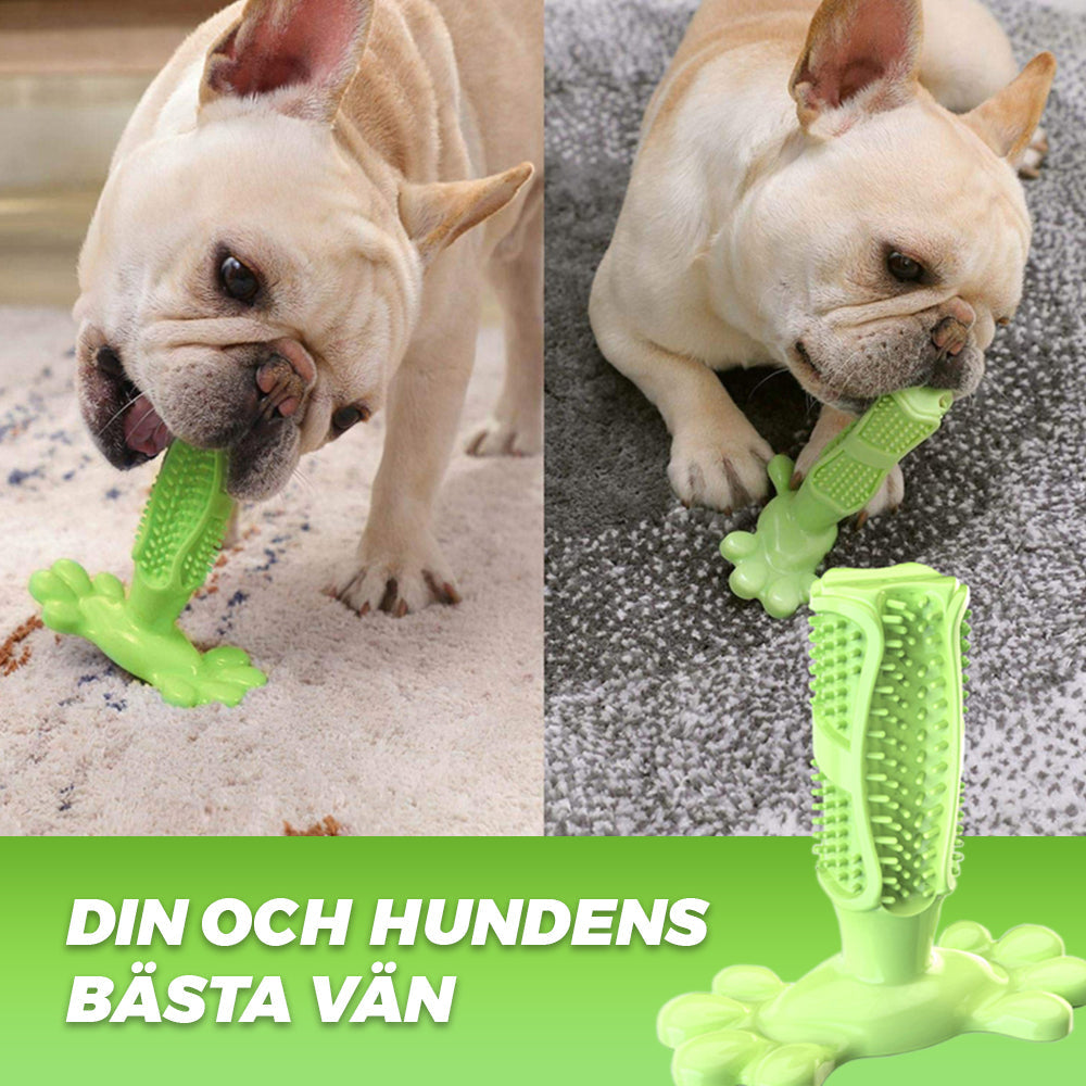 TandGott - Friska tänder utan borstning